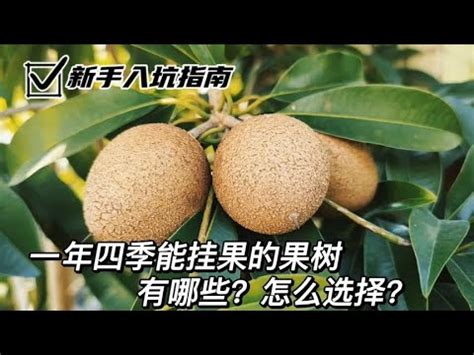 種植果樹|108種北部適合種的水果樹指南：讓您輕鬆實現果園夢。